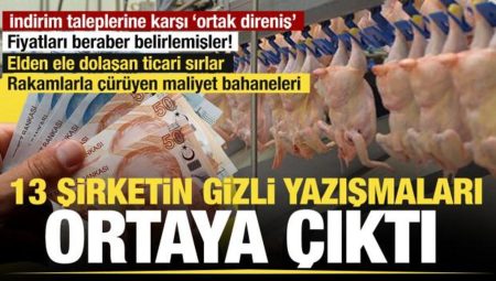Beyaz et karteline operasyon: Kayyum atanan 13 şirketin bâtın yazışmaları raporlarda!
